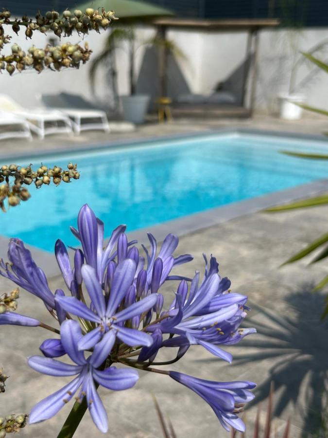 Villa La Pointe D'aspretto